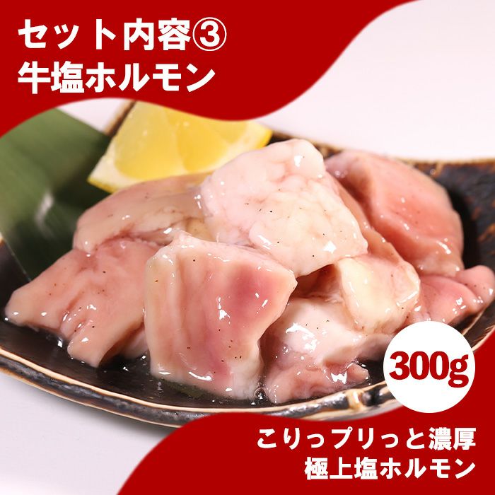 セット内容３牛塩ホルモン