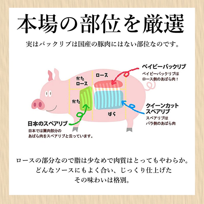 ベイビーバックリブ部位説明