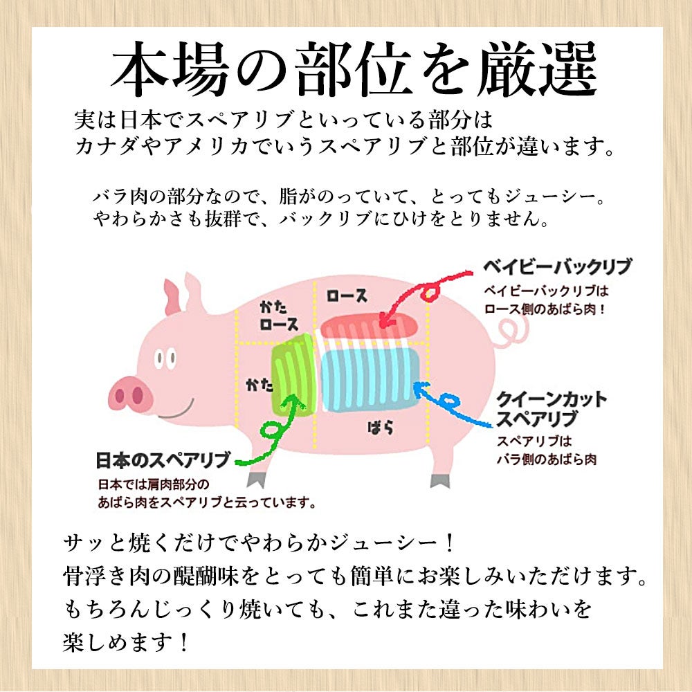 部位説明