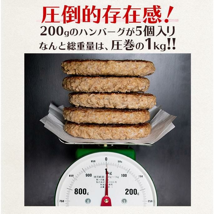 ビッグハンバーグ　圧倒的存在感