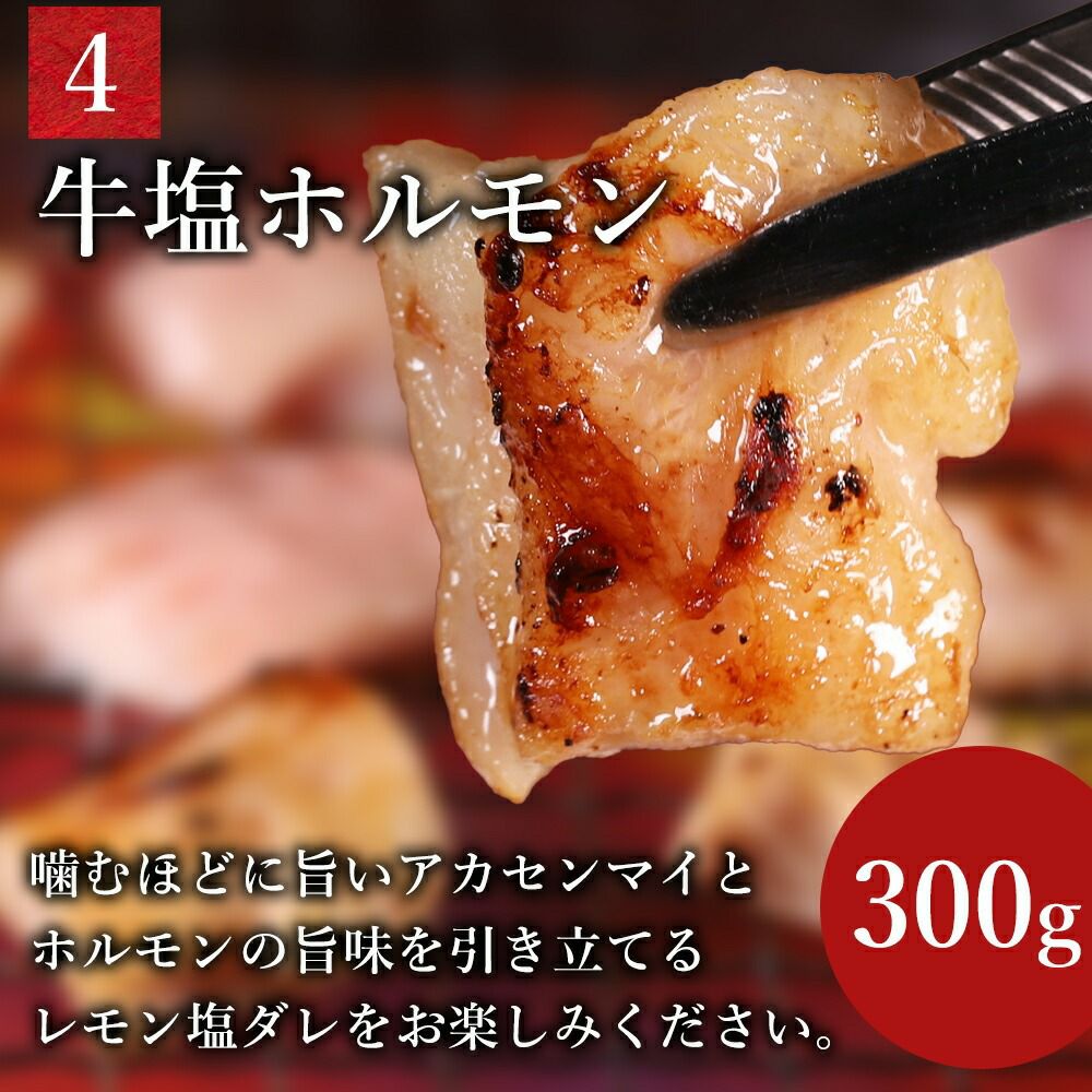 牛塩ホルモン　説明