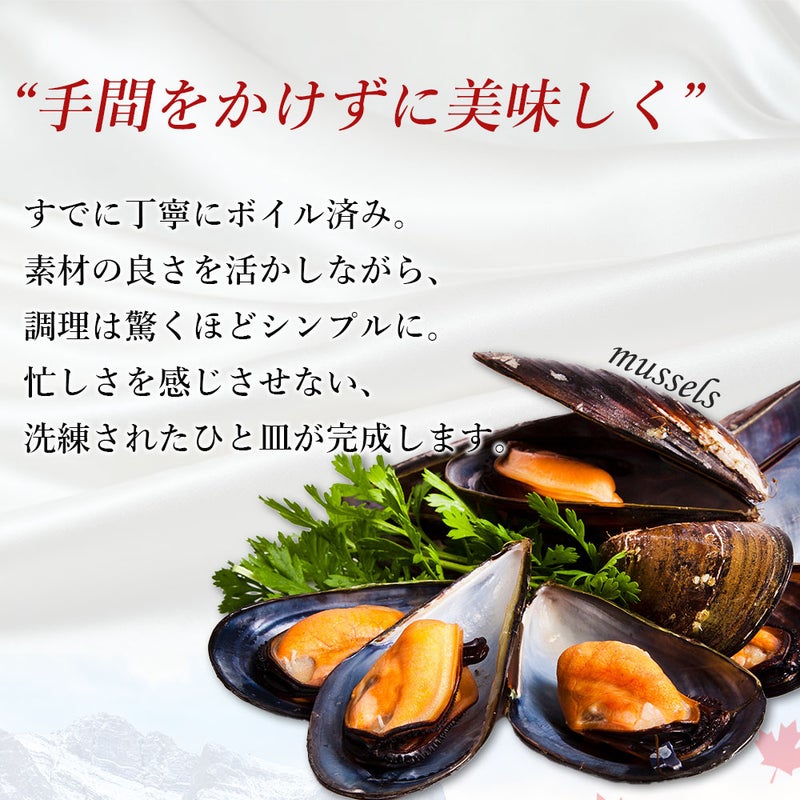 ムール貝　説明