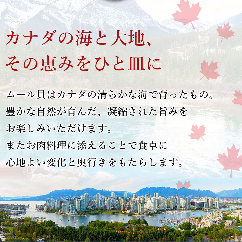 ムール貝　説明