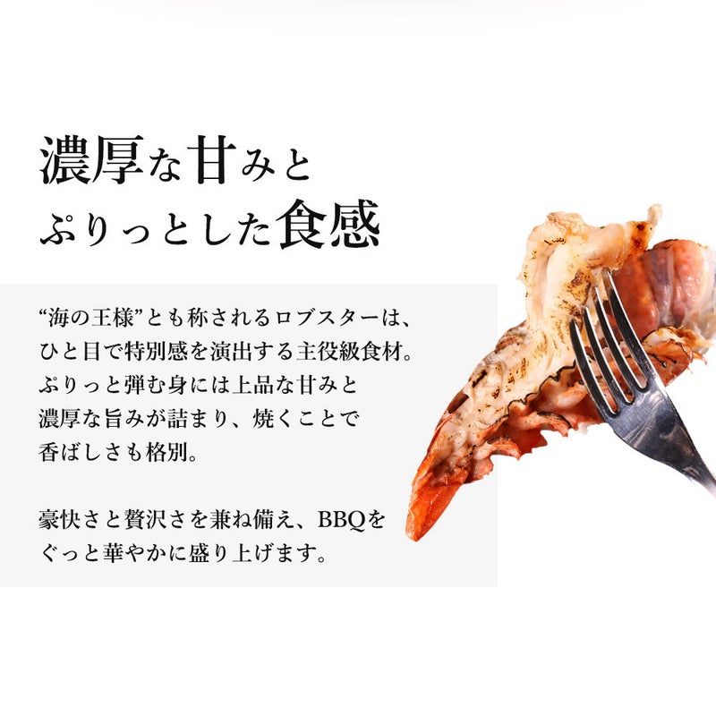 ロブスター　説明