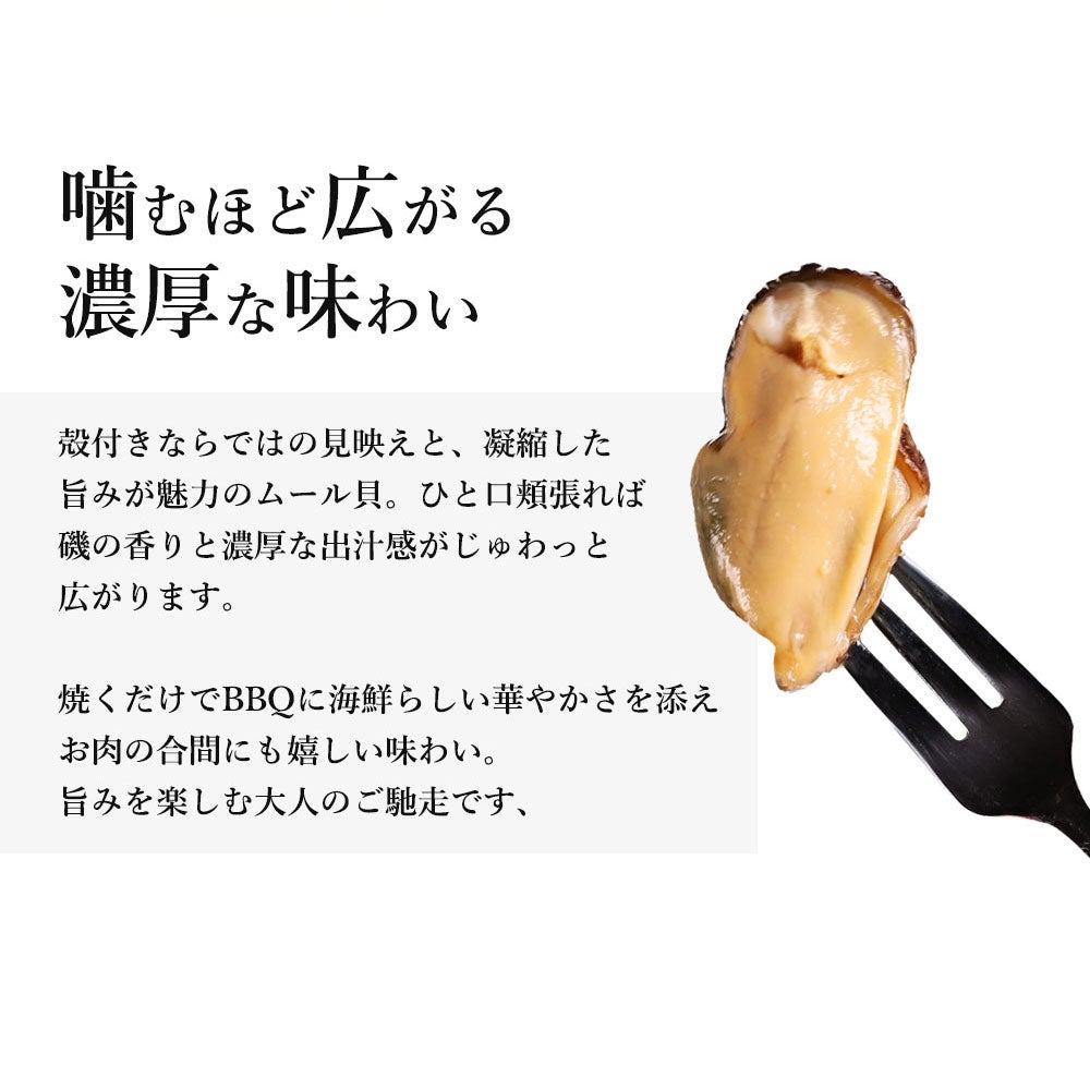 ムール貝　説明