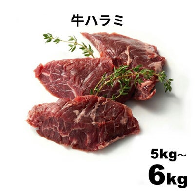 牛ハラミ　サムネ