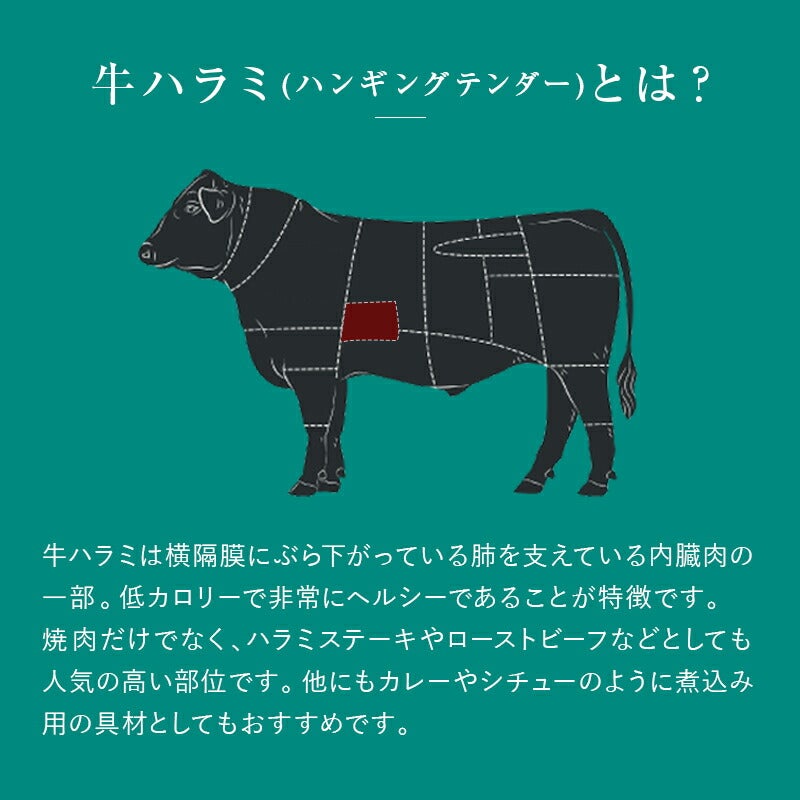 牛ハラミ　説明