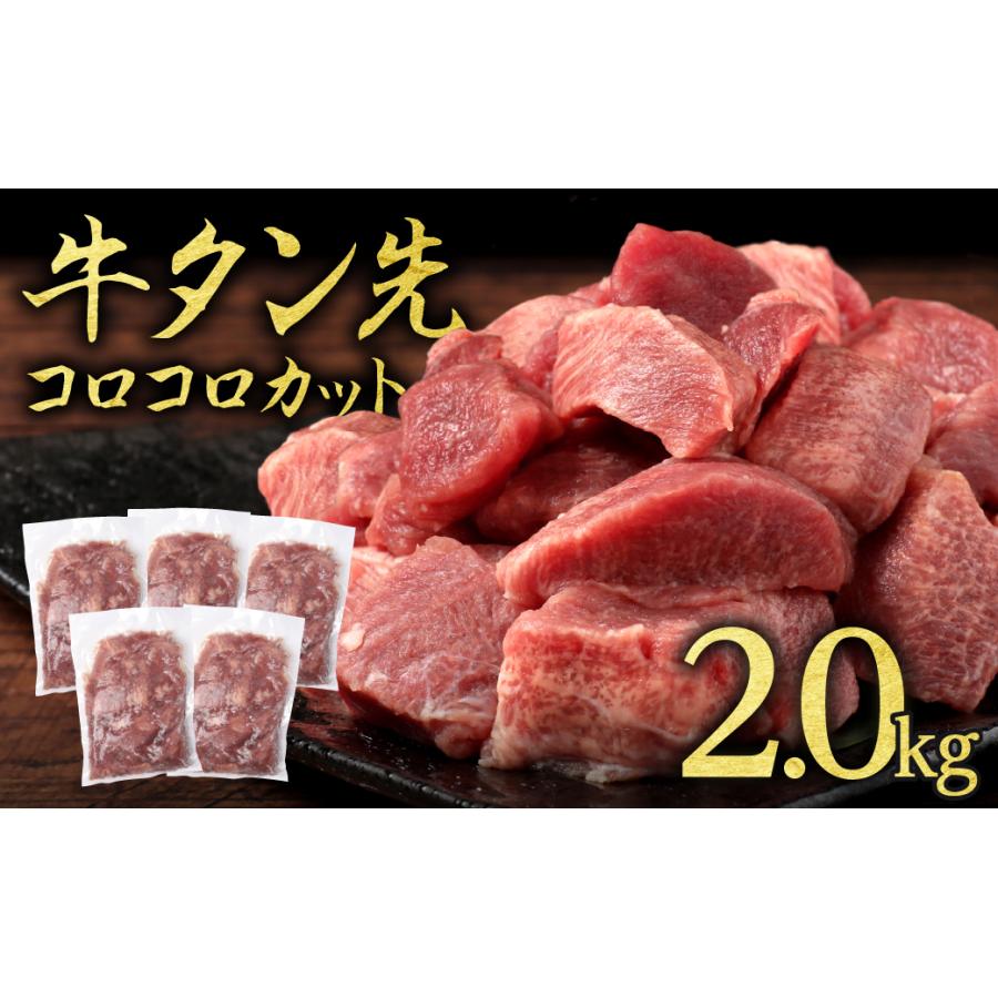 牛タン先カット　皿盛り