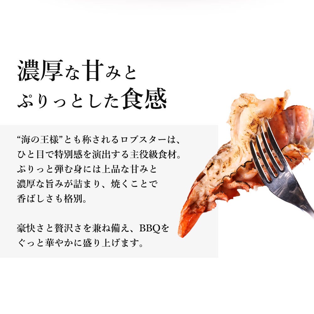 オマールエビ説明