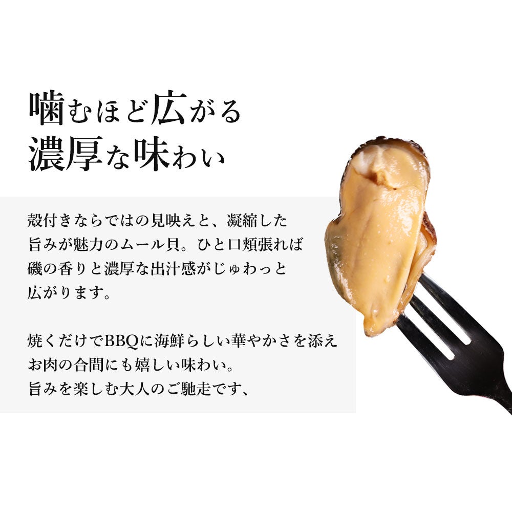 ムール貝説明