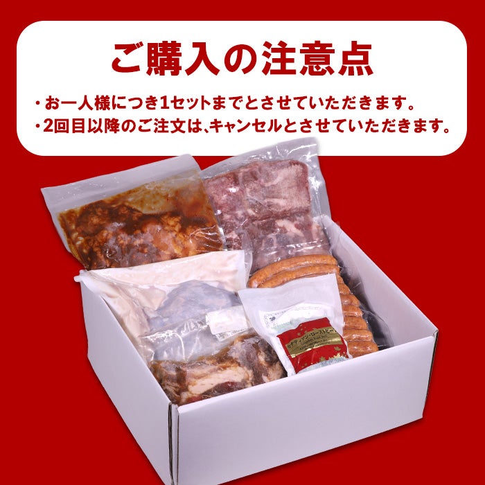 初回セット購入説明